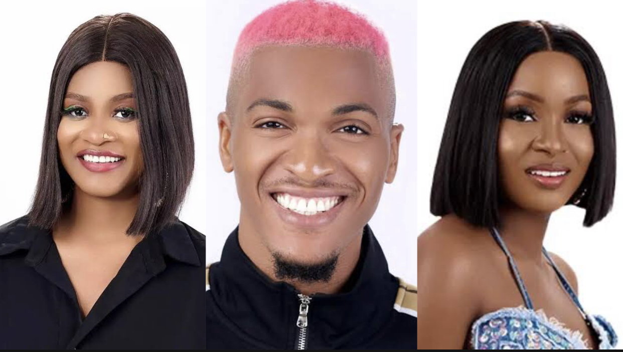 BBNaija: Phyna Begs Bella to Cook for her Separated Boyfriend Groovy [video]