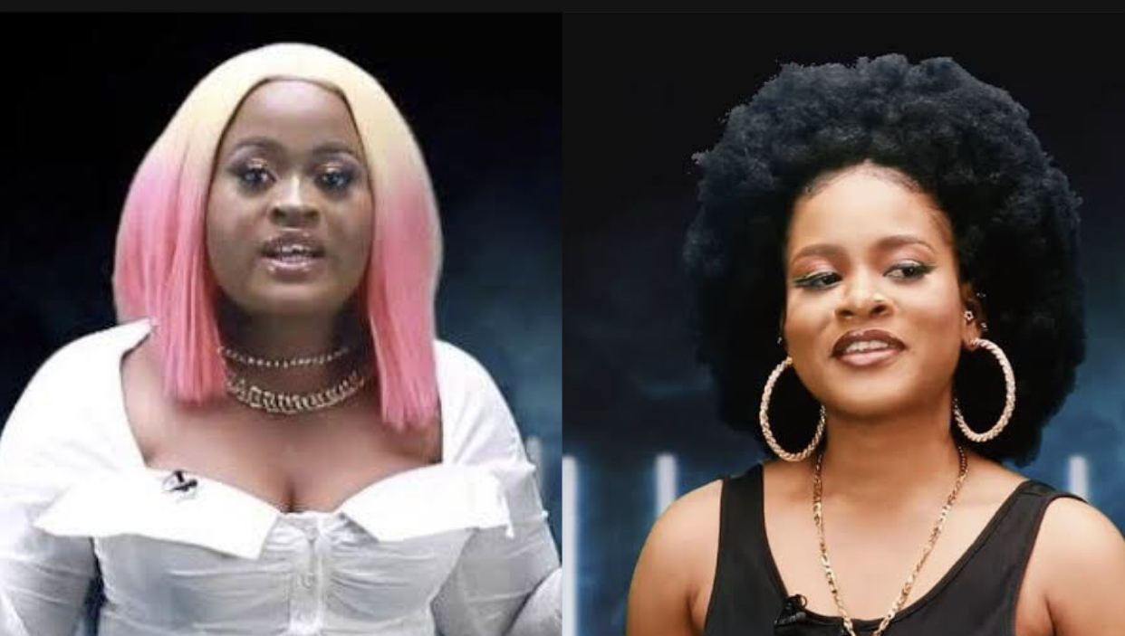 I went after Giddyfia cause Phyna stole my man – Amaka reveals [video]