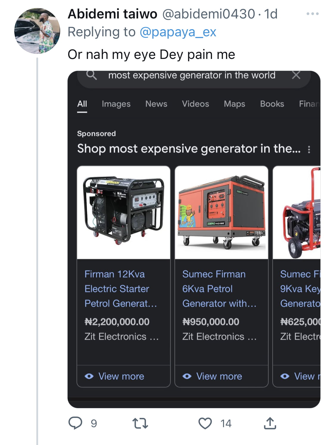 My generator alone costs N6.5m - Influencer Papaya Ex brags, Nigerians react