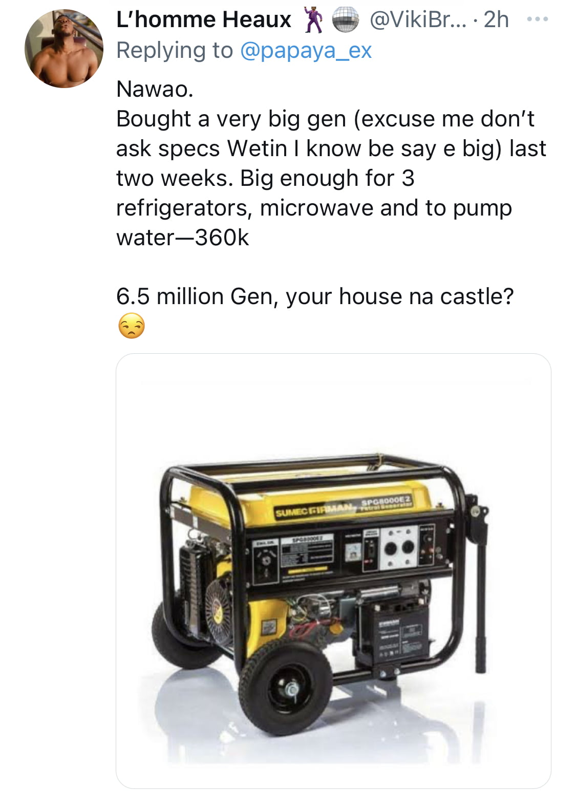 My generator alone costs N6.5m - Influencer Papaya Ex brags, Nigerians react