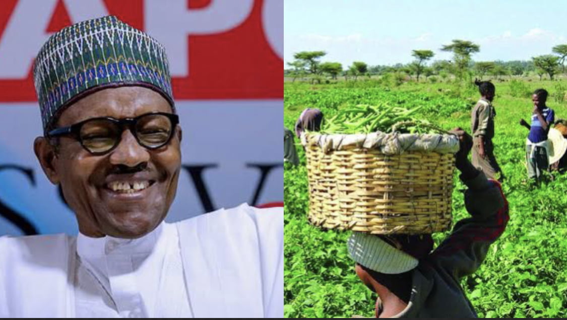 If you are hungry, go to the farm – President Buhari tells Nigerians [video]