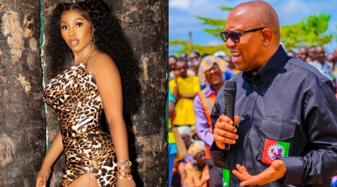 I dreamt Peter Obi became president – BBNaija Mercy Eke reveals