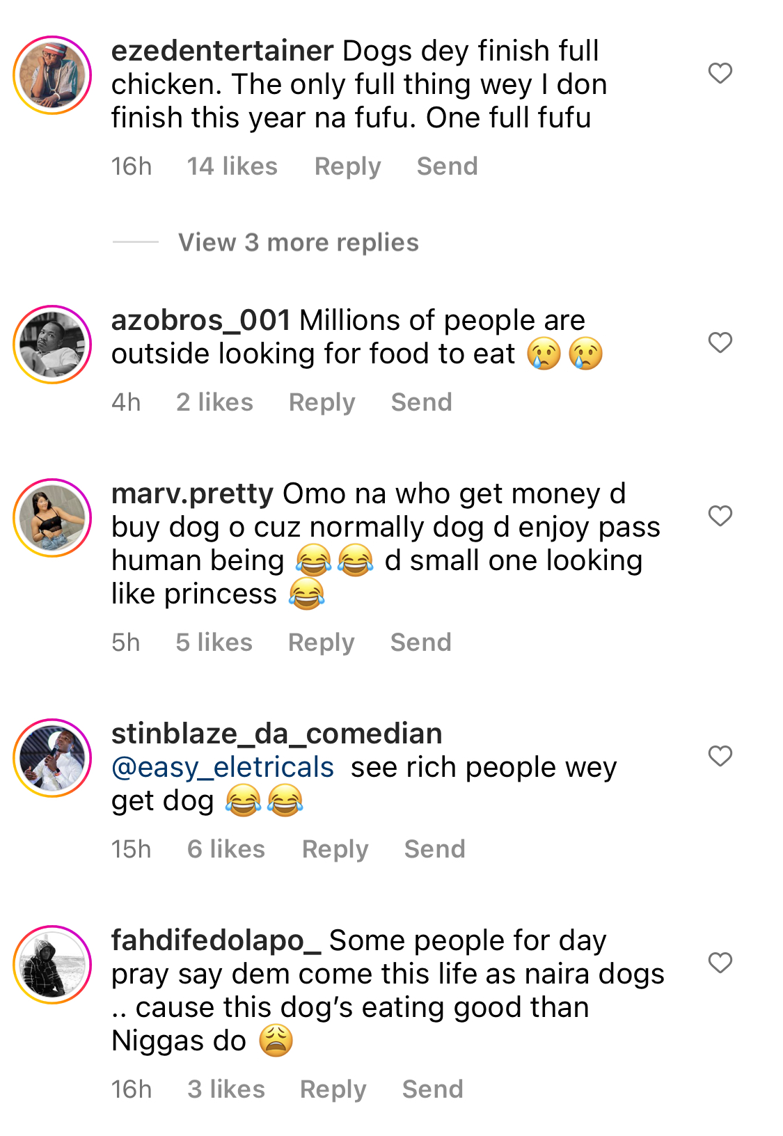 I wish I was a Dog - Fans react as Naira Marley feeds his 7 dogs with full chickens each [video]