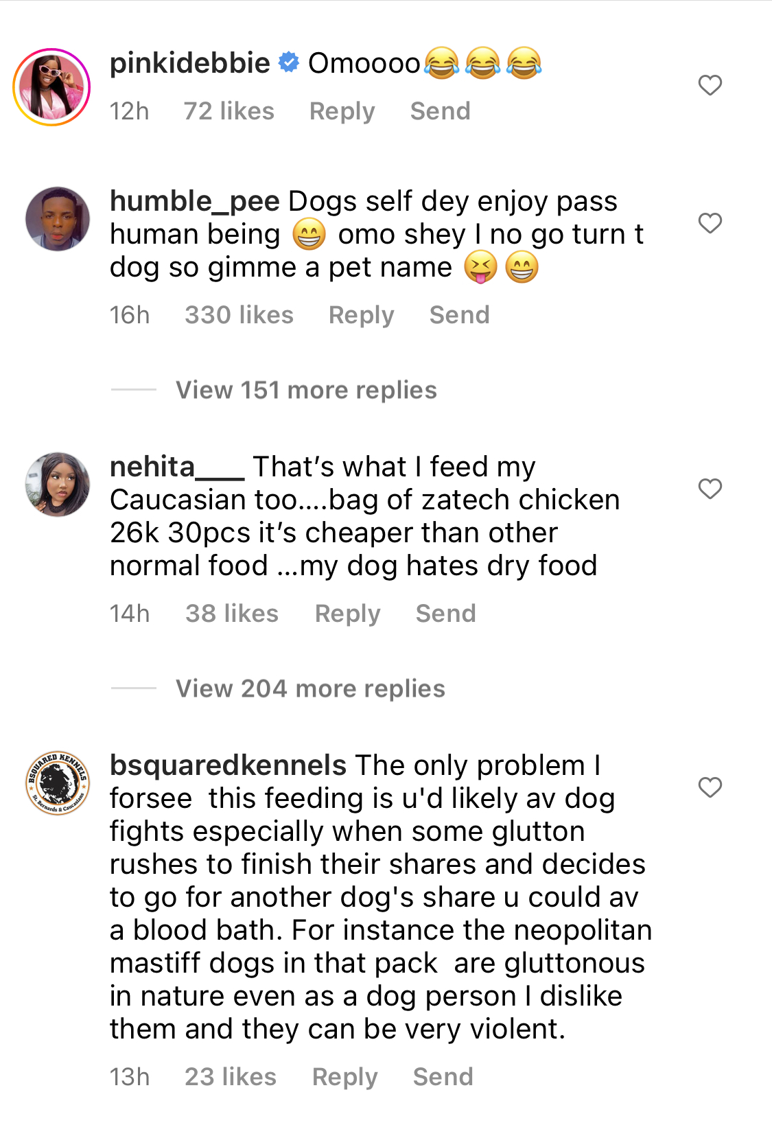 I wish I was a Dog - Fans react as Naira Marley feeds his 7 dogs with full chickens each [video]