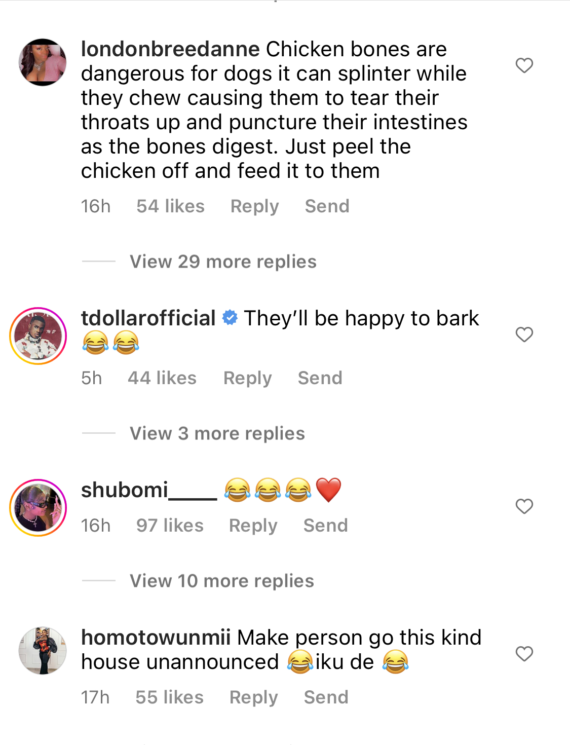 I wish I was a Dog - Fans react as Naira Marley feeds his 7 dogs with full chickens each [video]