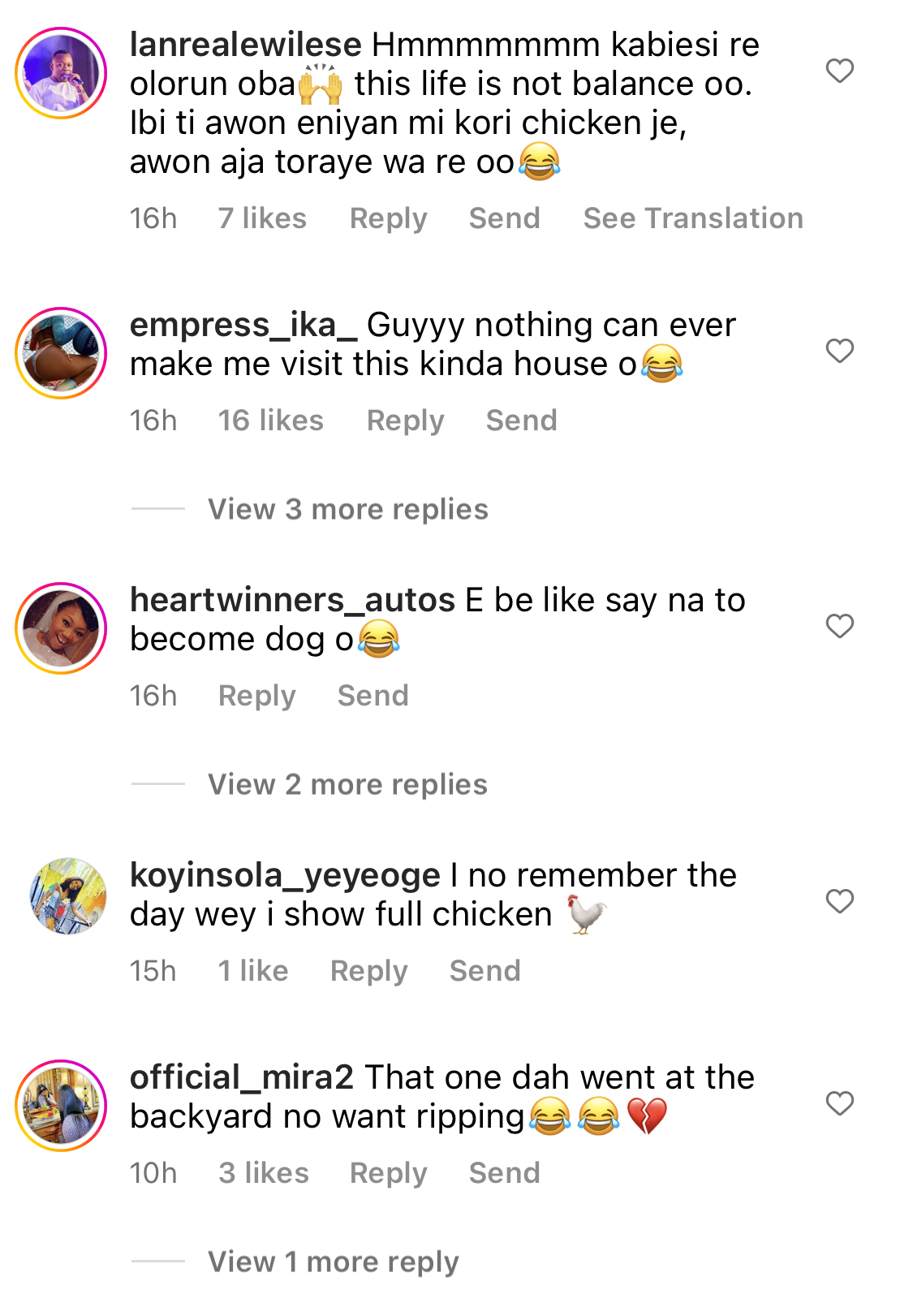 I wish I was a Dog - Fans react as Naira Marley feeds his 7 dogs with full chickens each [video]