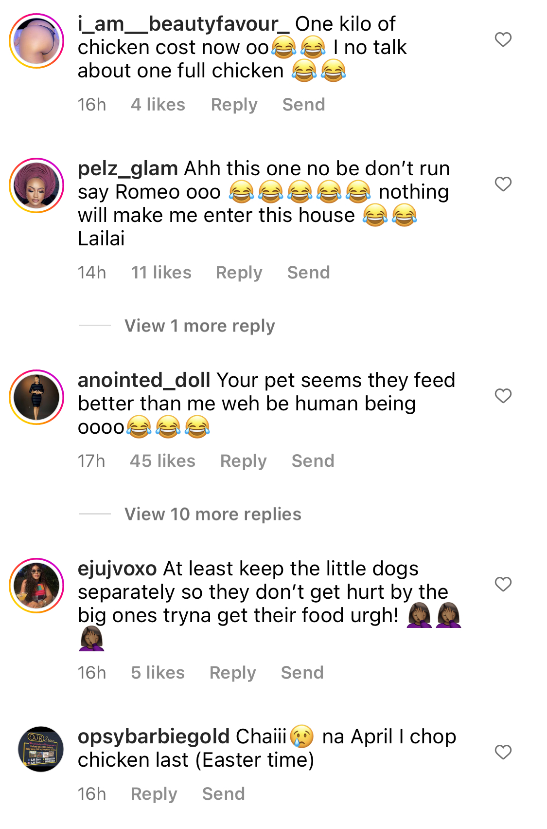 I wish I was a Dog - Fans react as Naira Marley feeds his 7 dogs with full chickens each [video]