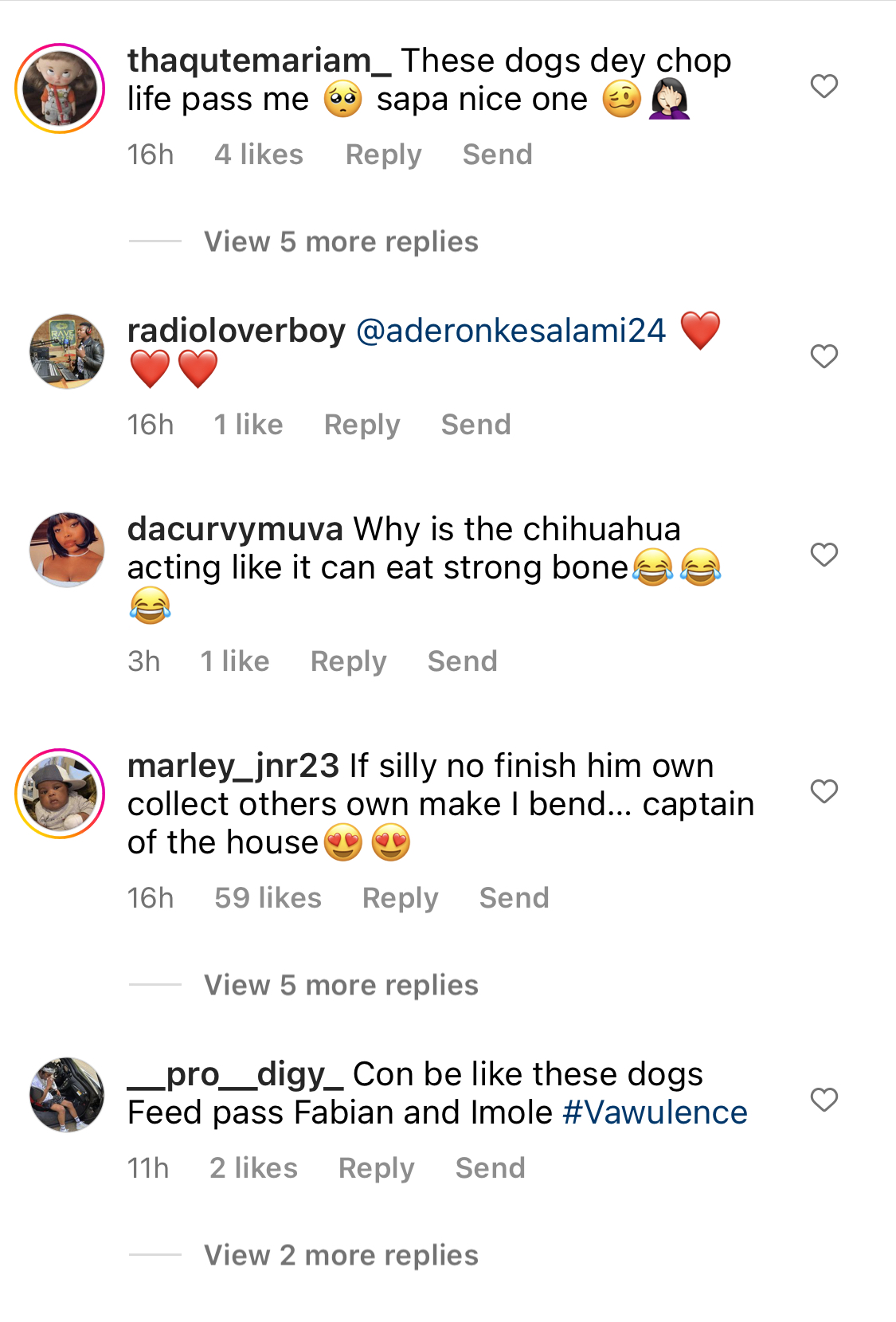 I wish I was a Dog - Fans react as Naira Marley feeds his 7 dogs with full chickens each [video]