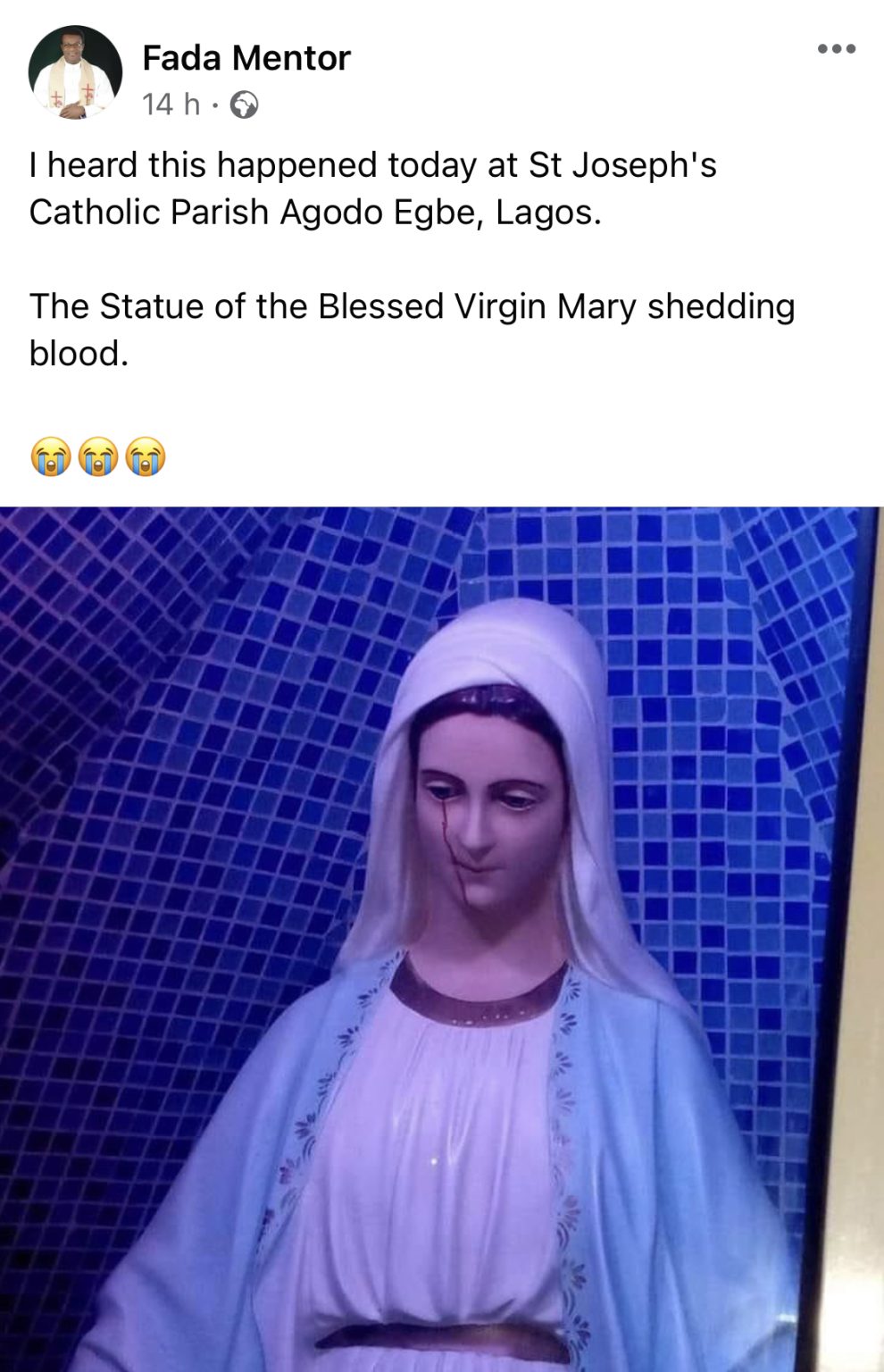 Statue of Virgin Mary cries blood in Lagos Catholic Priest Reveals