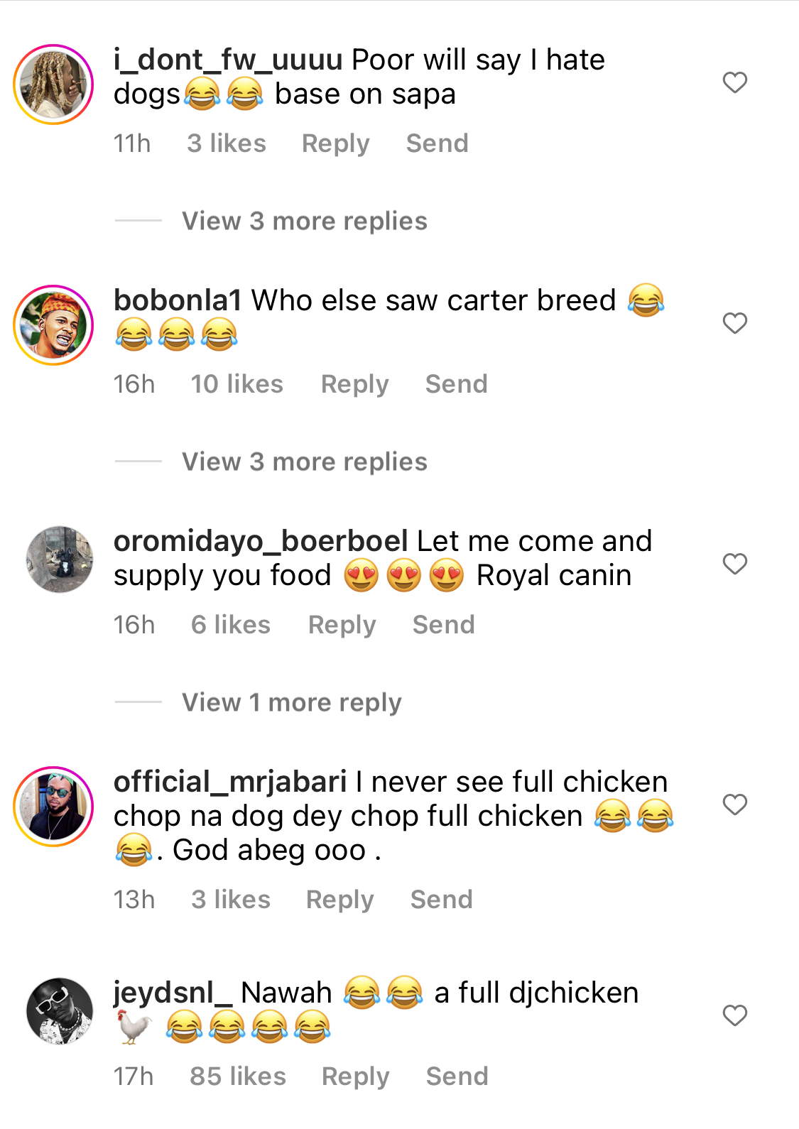 I wish I was a Dog - Fans react as Naira Marley feeds his 7 dogs with full chickens each [video]