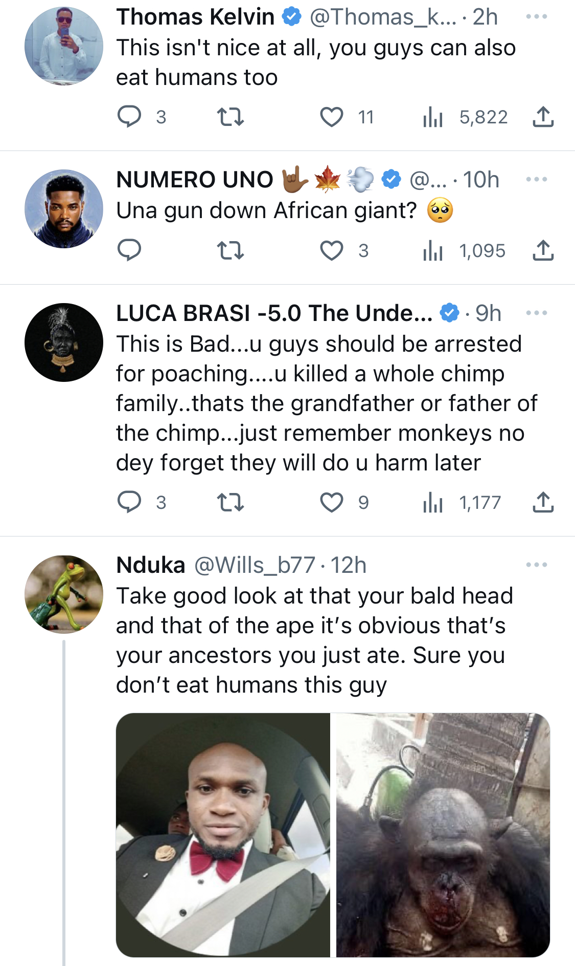 It’s an endangered species - Nigerians blast journalist for killing and eating chimpanzee in Bayelsa [photos]