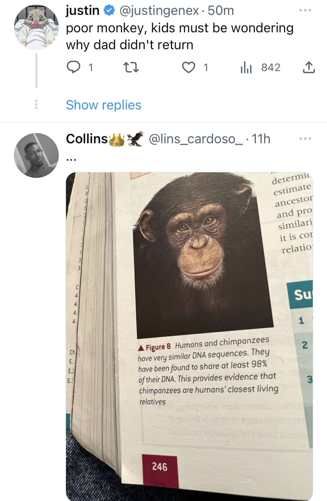 It’s an endangered species - Nigerians blast journalist for killing and eating chimpanzee in Bayelsa [photos]