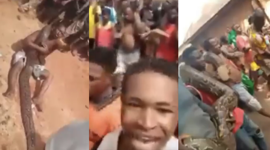 Residents of Fugar Community in Edo jubilate over return of ‘mother’ as they find giant python [video]