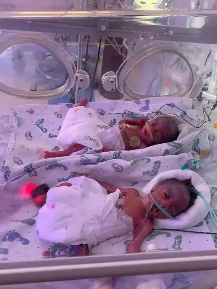 UNIZIK lecturer in trouble for N19M with hospital after giving birth to Septuplets [photos]