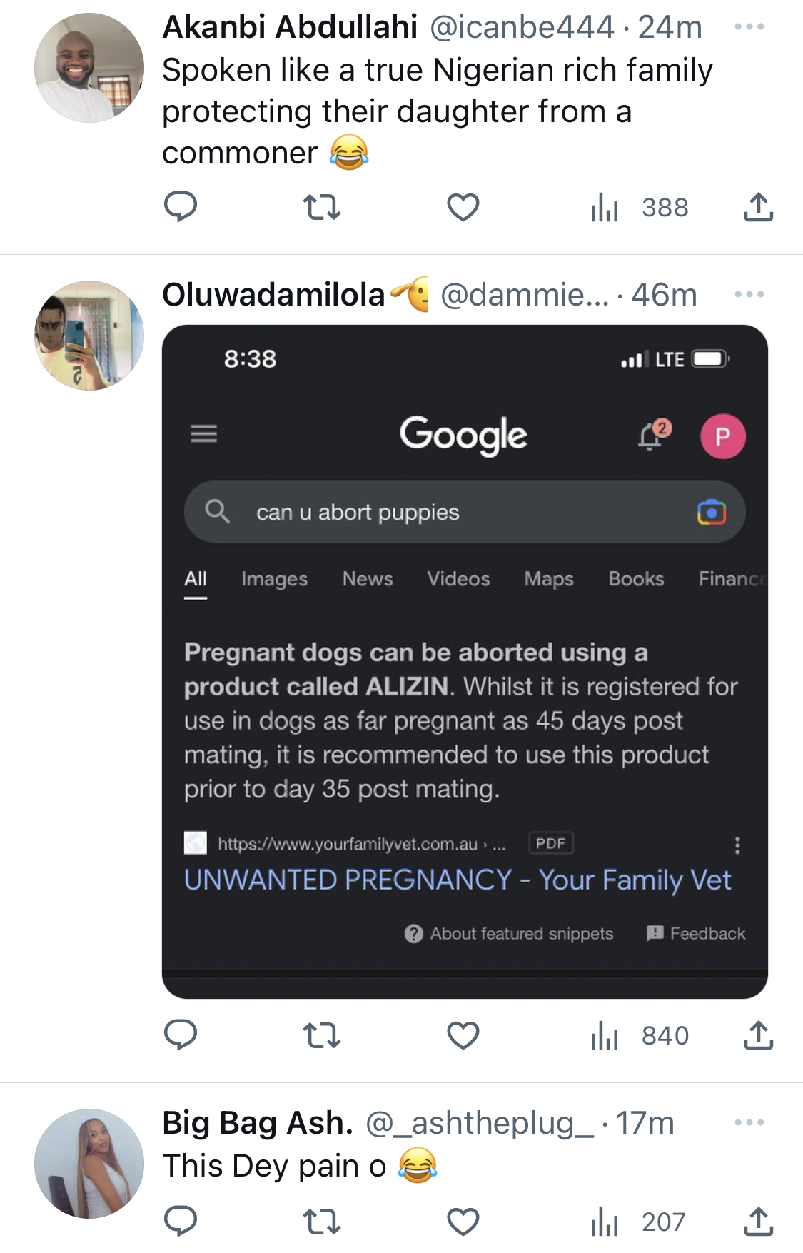 Where can I do abortion for her - Woman laments as her dog comes home with pregnancy from neighbor’s dog [video]