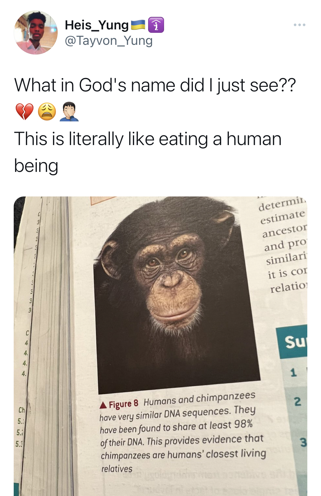 It’s an endangered species - Nigerians blast journalist for killing and eating chimpanzee in Bayelsa [photos]