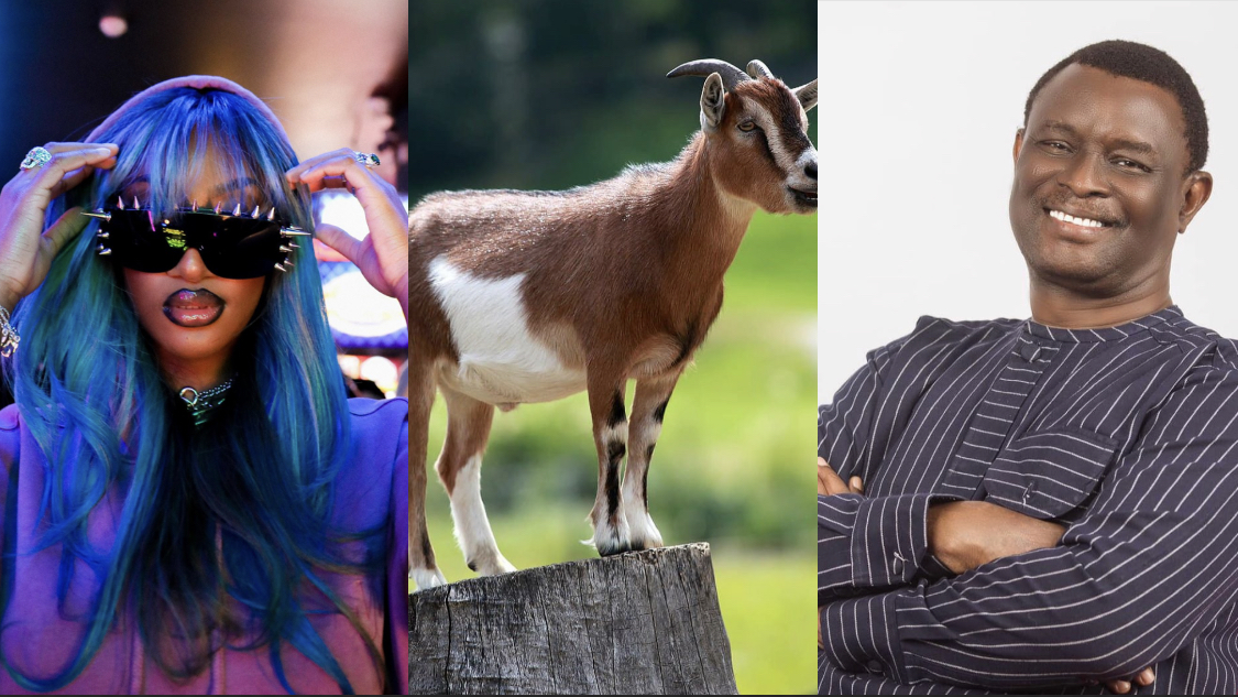 Goat in the Bible signifies stubborn unbelievers – Pastor Mike Bamiloye Blasts Tems for calling herself ‘GOAT’