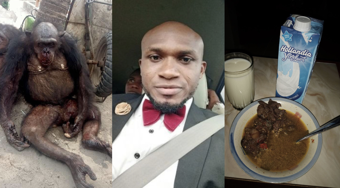 It’s an endangered species – Nigerians blast journalist for killing and eating chimpanzee in Bayelsa [photos]