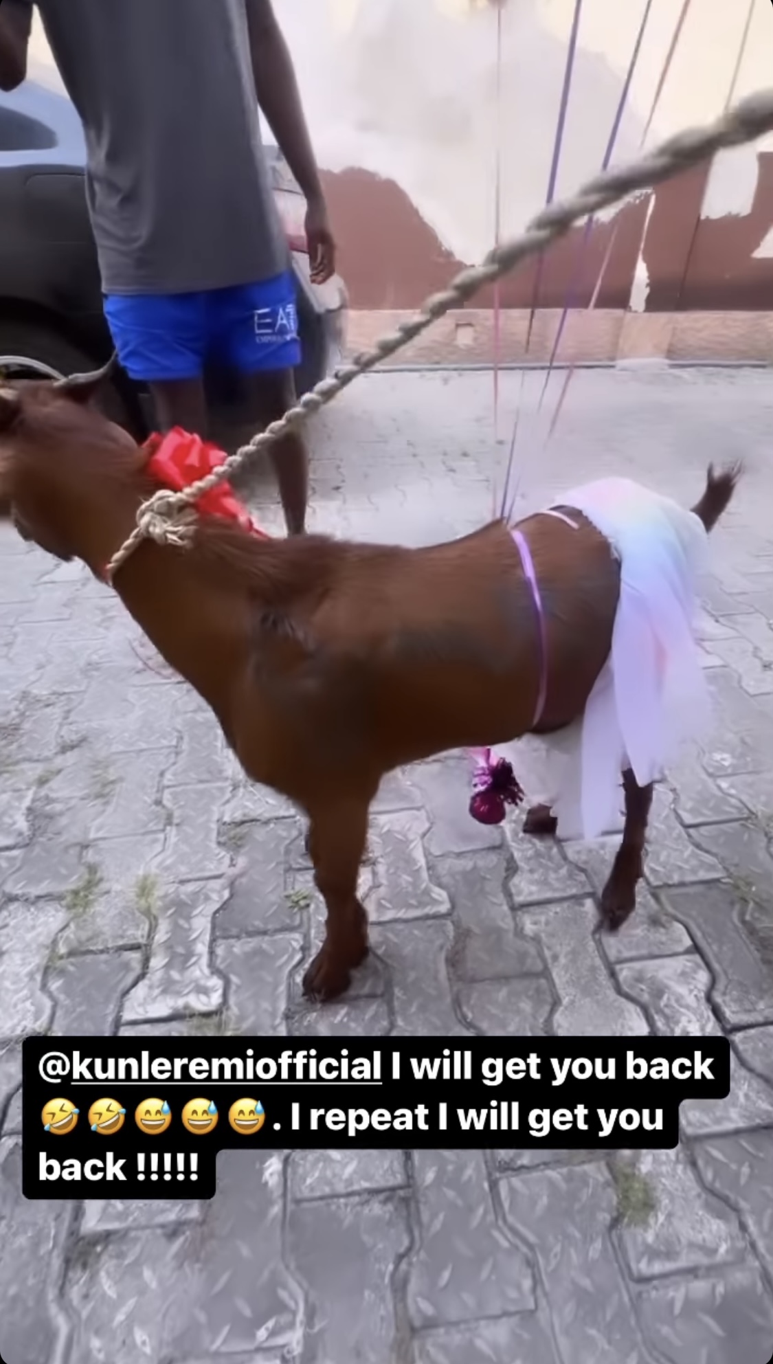 Actor Kunle Remi gifts colleague Bimbo Ademoye brand new goat for birthday [photos]