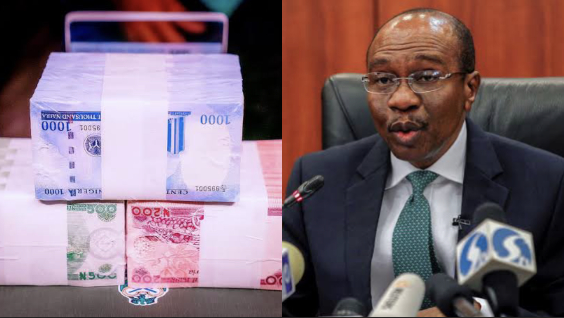 Our paper is not enough to print new naira notes – CBN Governor Cries Out