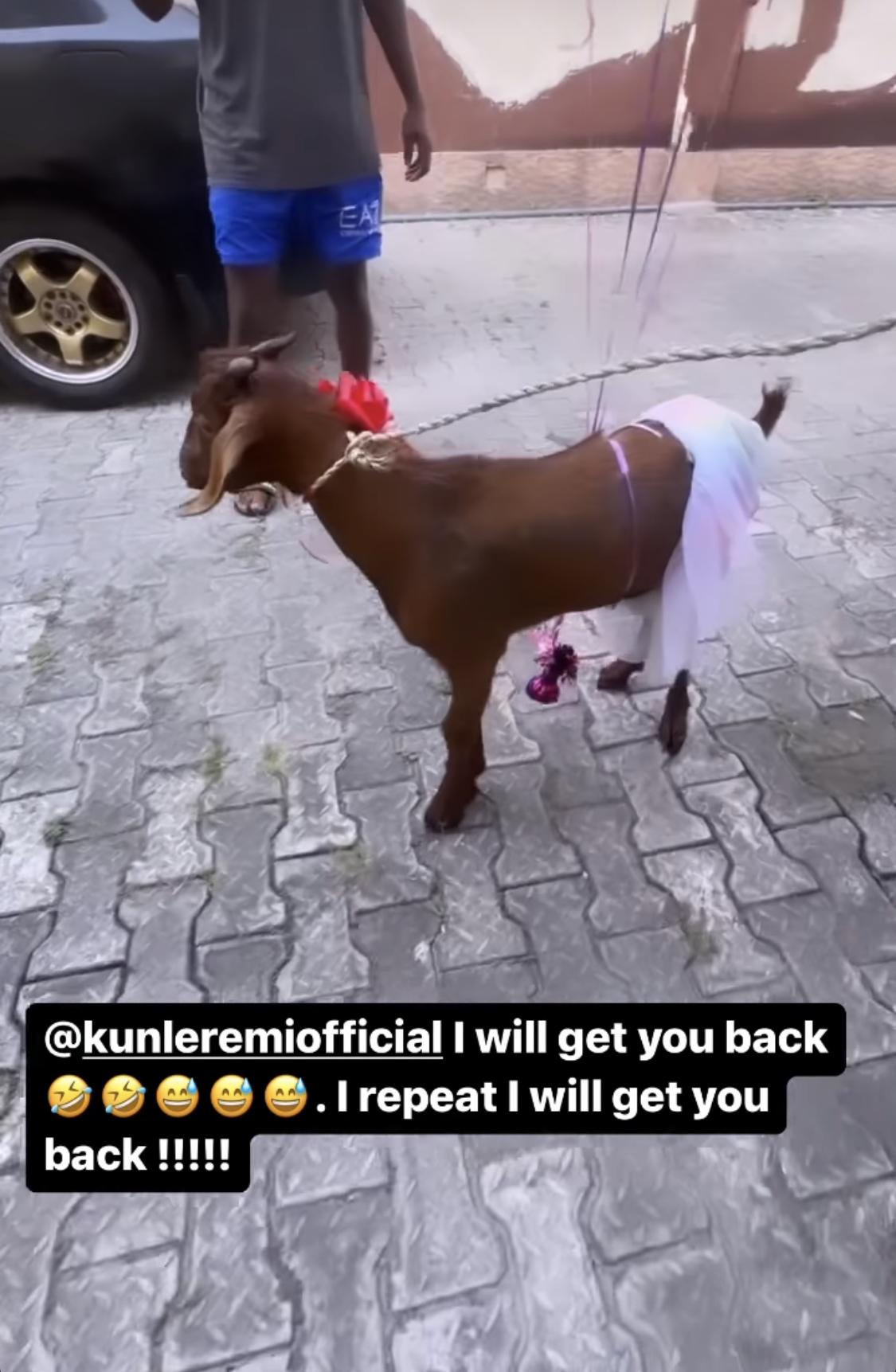 Actor Kunle Remi gifts colleague Bimbo Ademoye brand new goat for birthday [photos]