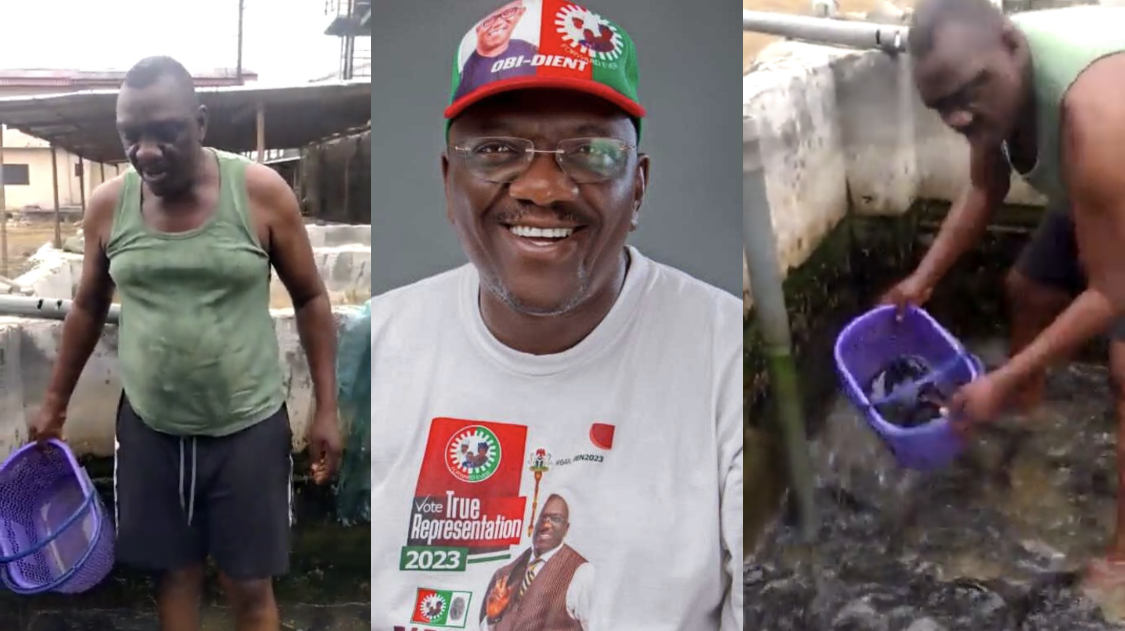 Winning election doesn’t mean I won’t work again – LP House of Rep Elect Etanabene says as he returns to his fish farm [video]