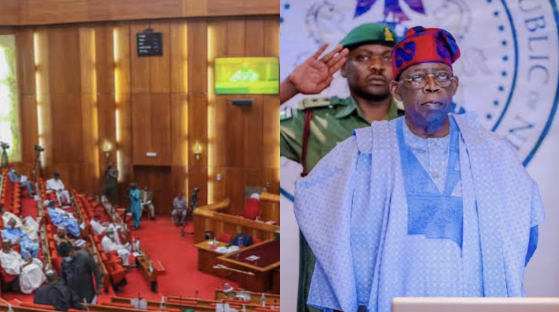 Lawmakers Approve Tinubu’s request for N500bn Palliatives, to get N70bn Cut