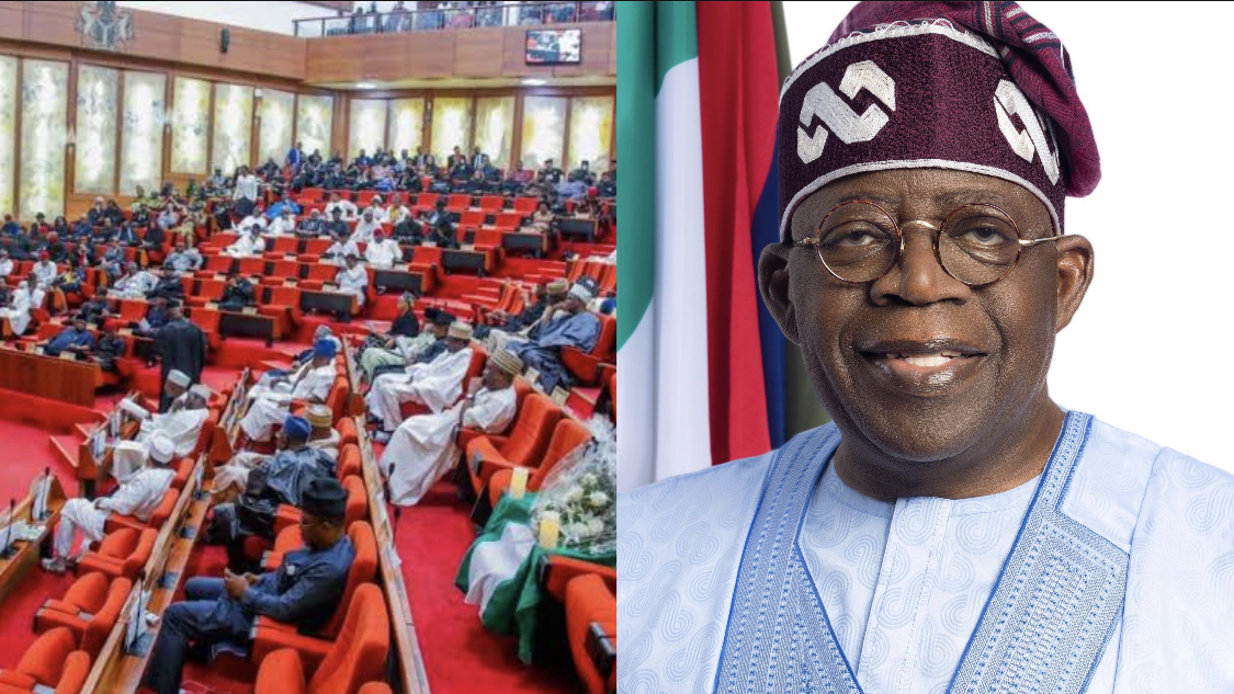 Nigerian Senate Rejects Tinubu’s Request for Military Intervention in Niger Coup