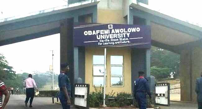 Lion attacks another OAU staff on campus