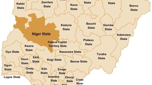 Terrorists Kill Village head, 20 others in Niger community 