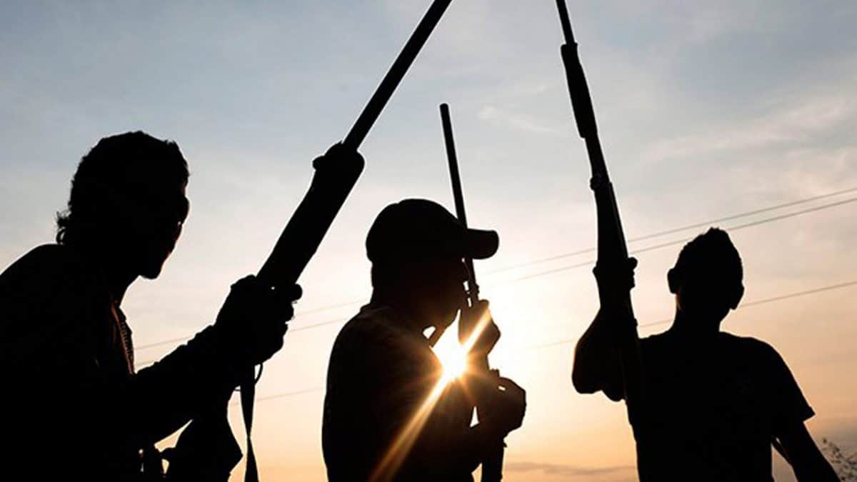 Academic activities suspended as gunmen kill 15 in Plateau