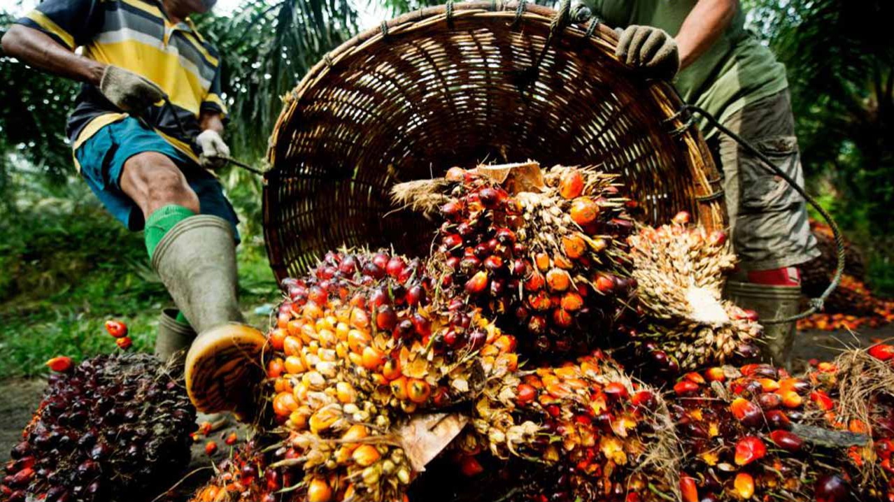 Gunmen kill 3 Okomu Oil Workers in Edo state