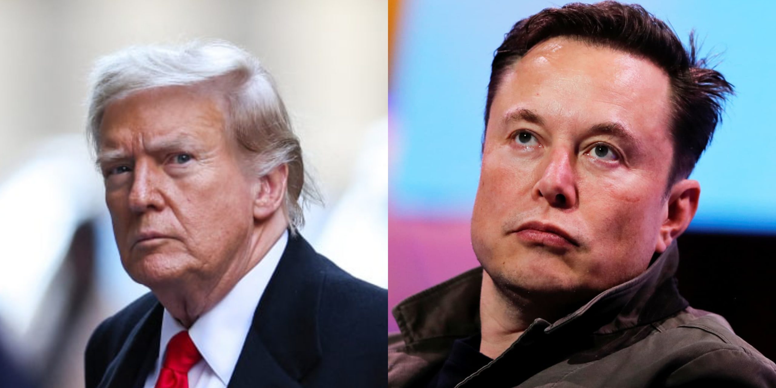 Donald Trump appoints Elon Musk