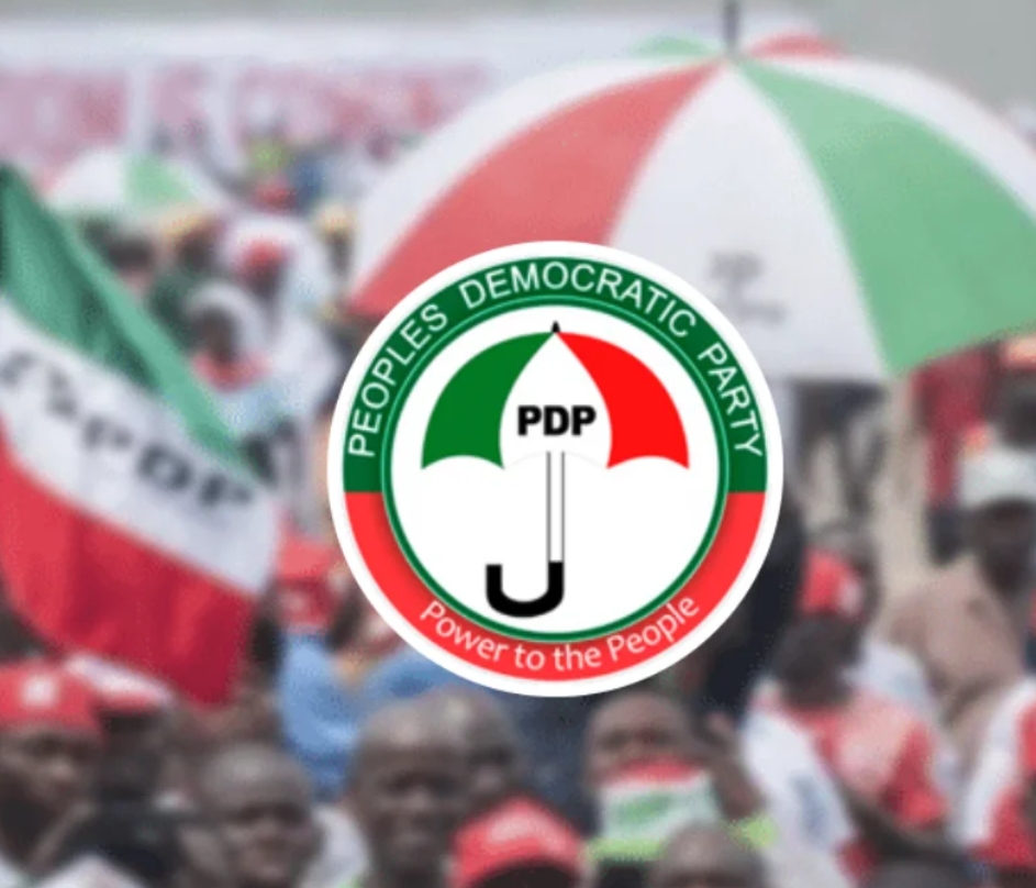 Former Nigerian Minister Resigns From PDP