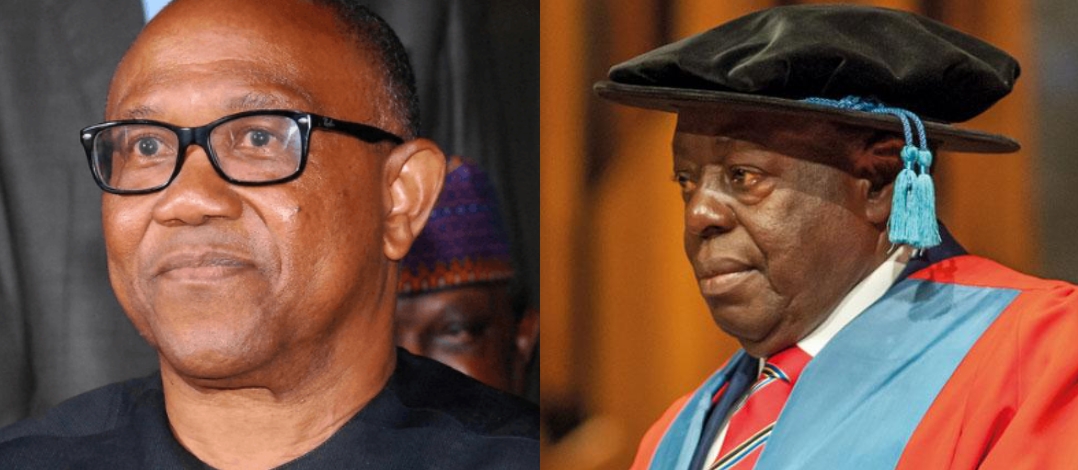 Afe Babalola sends message to Peter Obi after controversial visit
