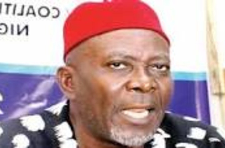 Ohaneze Ndigbo elect factional president 1 Uche Okwukwu 1
