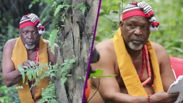 Veteran Nollywood actor Tom Njemanze is dead