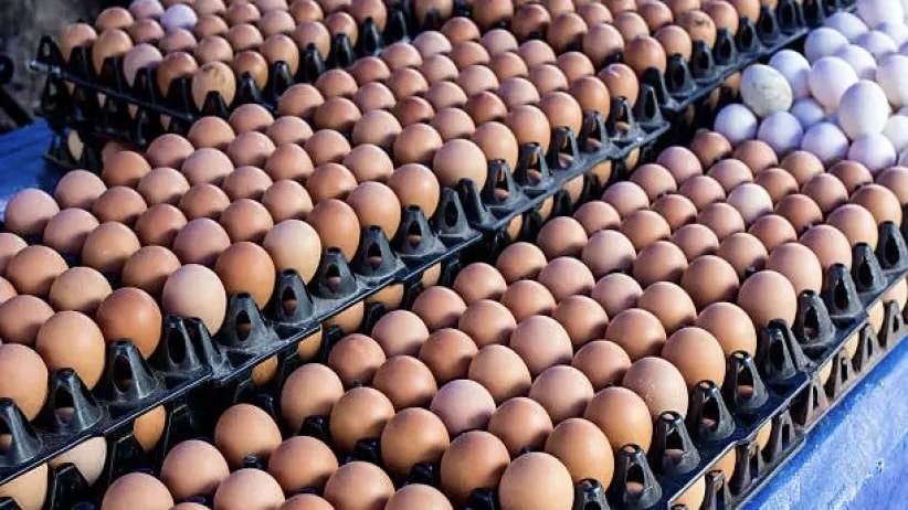 Egg prices increase in Nigeria