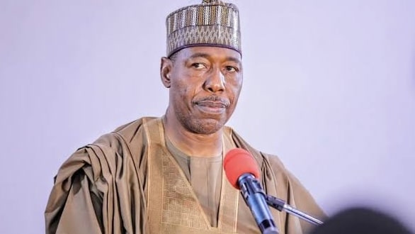 Zulum sacks all commissioners