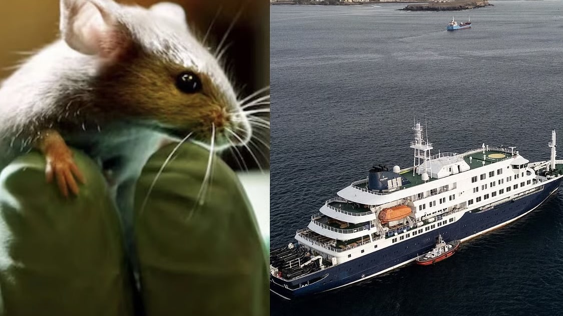 WHO shares update on spread of Hantavirus