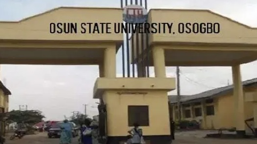 Army orders investigation into alleged assault on UNIOSUN students