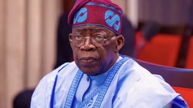 Another fake agency discovered in Tinubu administration