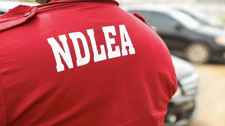 NDLEA arrests fake police officer with massive cannabis consignment in Delta