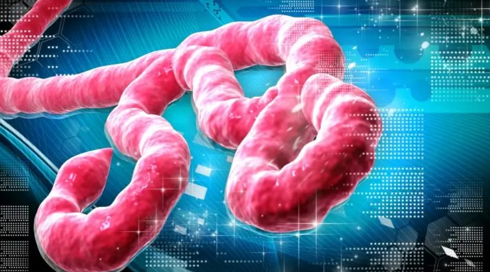 Nigeria Confirms Ebola Case 